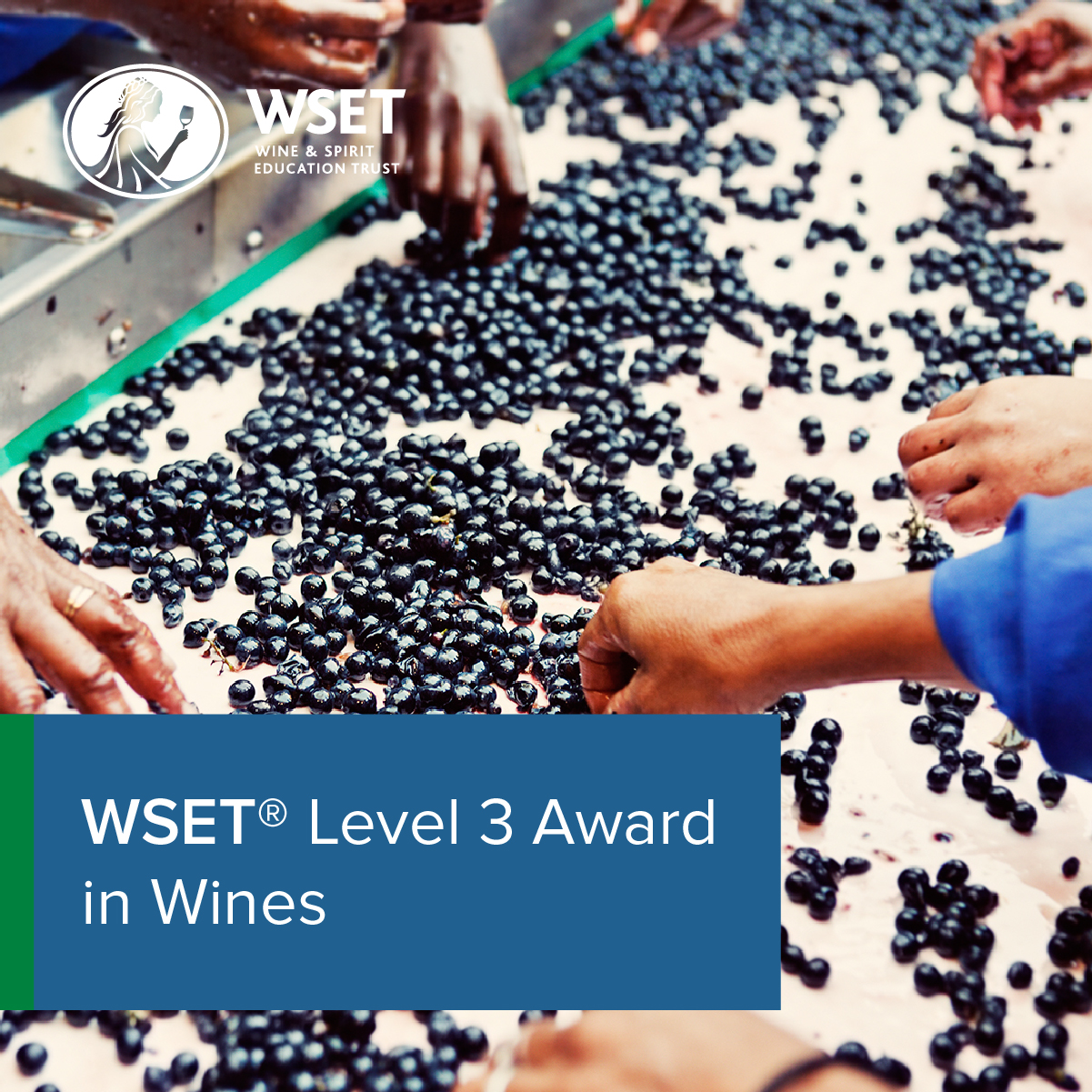 Level 3 Award in Wines